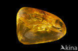 Amber