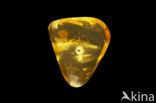 Amber