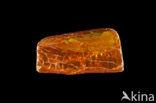 Amber
