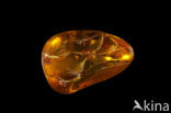 Amber