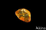 Amber
