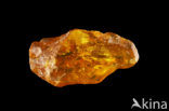 Amber