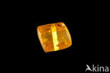 Amber