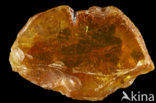 Amber