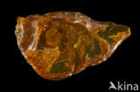 Amber