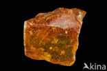 Amber