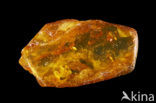 Amber