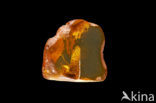 Amber