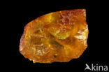 Amber