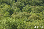 biosphere reserve Karstlandschaft Südharz