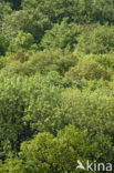 biosphere reserve Karstlandschaft Südharz