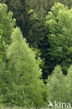 biosphere reserve Karstlandschaft Südharz