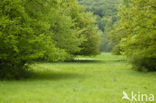 biosfeer reservaat Karstlandschaft Südharz