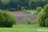 biosfeer reservaat Karstlandschaft Südharz