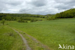 biosfeer reservaat Karstlandschaft Südharz