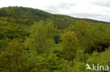 biosfeer reservaat Karstlandschaft Südharz