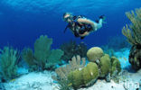 Bonaire National Marine Park