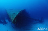 Bonaire National Marine Park