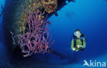 Bonaire National Marine Park