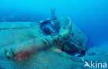 Bonaire National Marine Park