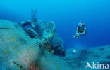 Bonaire National Marine Park