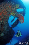 Bonaire National Marine Park