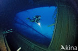 Bonaire National Marine Park