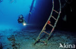 Bonaire National Marine Park