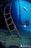 Bonaire National Marine Park