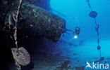 Bonaire National Marine Park