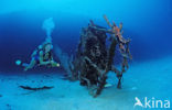 Bonaire National Marine Park