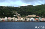 Lipari