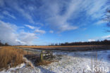 Nationaal Park De Alde Feanen