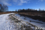 Nationaal Park De Alde Feanen