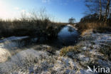 Nationaal Park De Alde Feanen