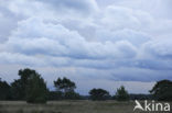 Nationaal Park De Hoge Veluwe