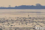 National Park Lauwersmeer