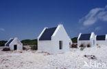 Slave huts