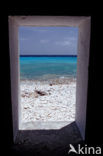 Slave huts