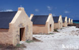 Slave huts