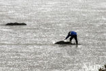 Waddenzee