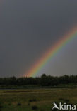 Nationaal Park de Biesbosch