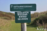 Nationaal Park Duinen van Texel