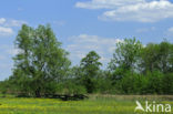 Nationaal Park Weerribben-Wieden