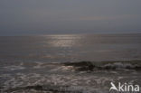 Noordzeestrand