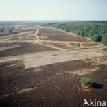 Hoorneboegse Heide