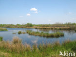 Internationaler Naturpark Bourtanger Moor-Bargerveen