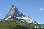 Matterhorn