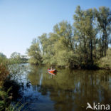 Nationaal Park de Biesbosch