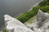 Jasmund National Park